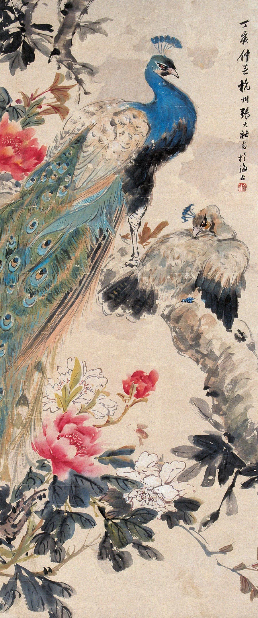 《孔雀》
