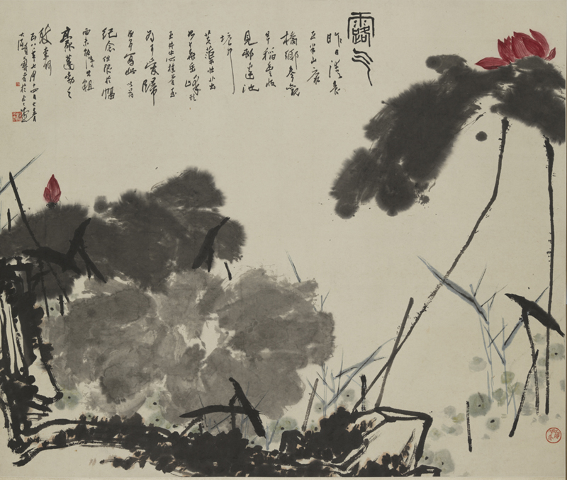 《荷花》
