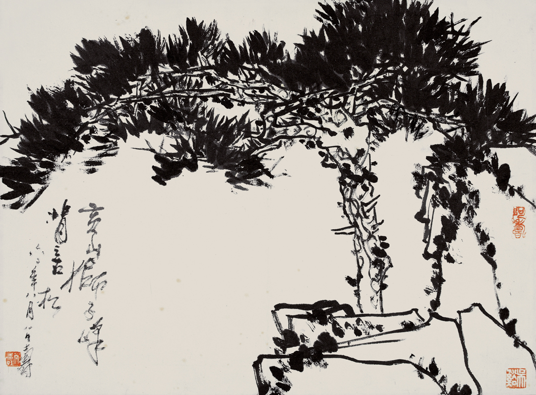 《黄山狮子峰背之古松》