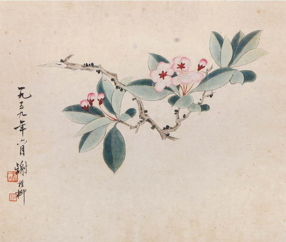 谢稚柳绘画作品