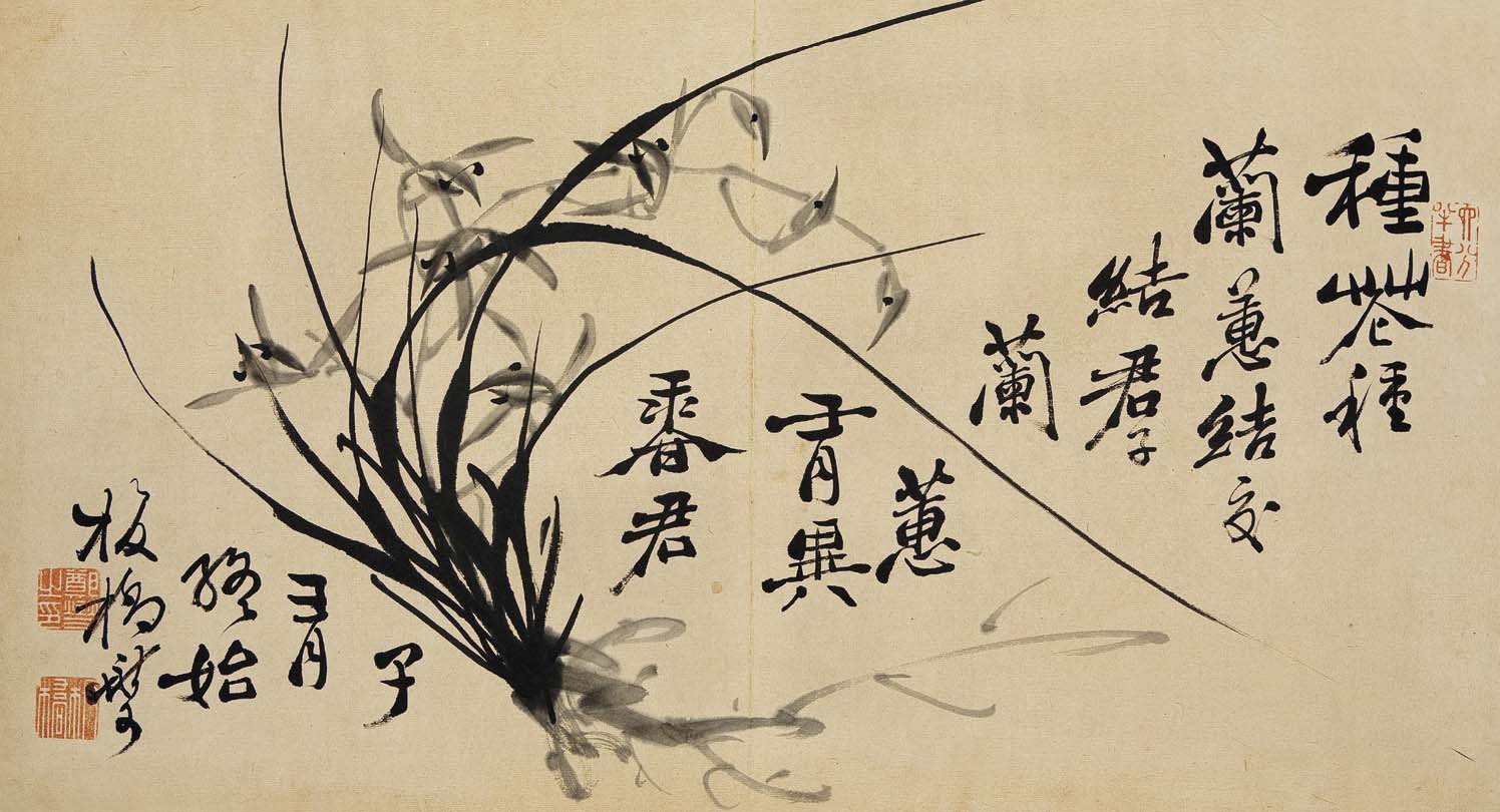 幽兰