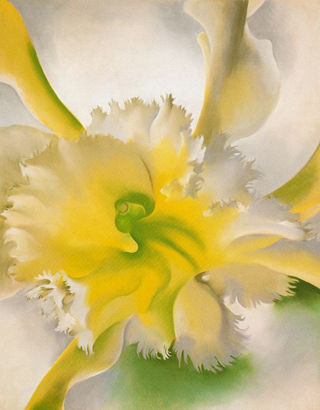 乔治亚·欧姬芙绘画作品
