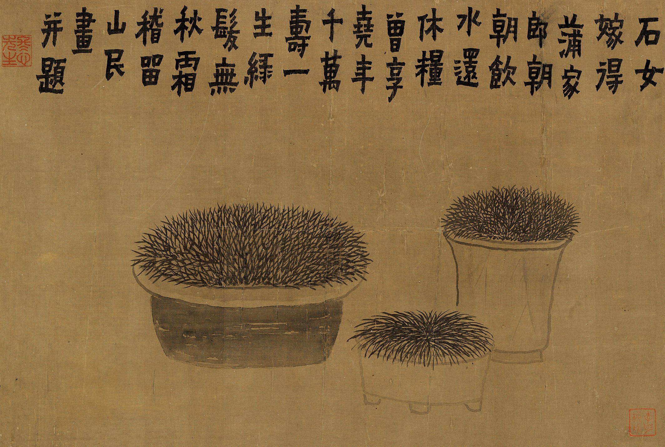 《菖蒲图》