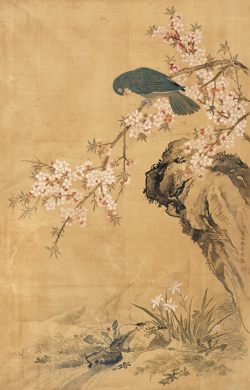 《鹦鹉桃花》