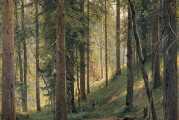 俄罗斯画家伊万·希什金   Ivan Shishkin