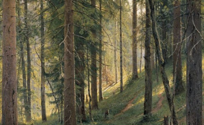 俄罗斯画家伊万·希什金   Ivan Shishkin