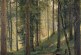 俄罗斯画家伊万·希什金   Ivan Shishkin