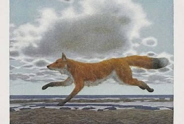 加拿大画家亚历克斯·科尔维尔 Alex Colville