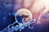 Flickr公布年度受欢迎的25张照片