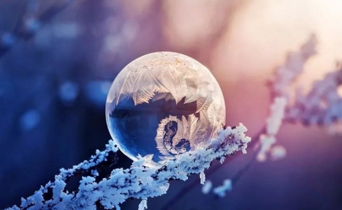 Flickr公布年度受欢迎的25张照片