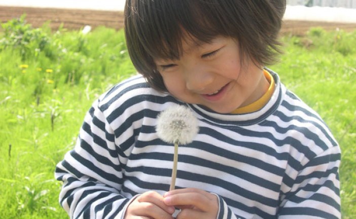 儿童画-群鱼图（水彩画）-司徒浩-国际青少年美术家_少美联赛