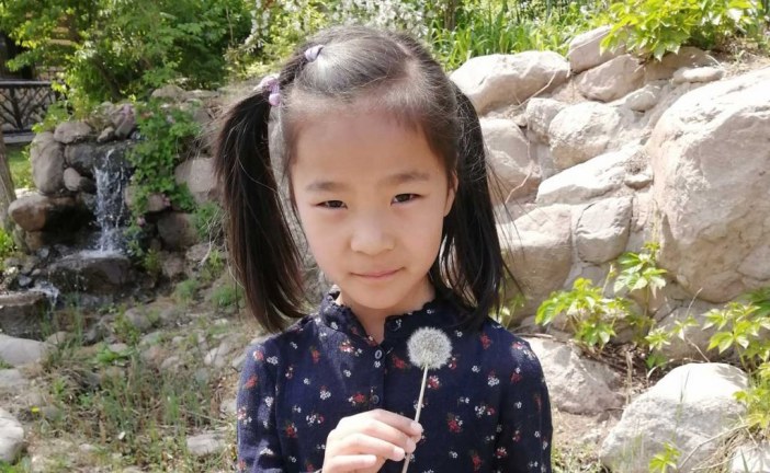 插画-游戏王国-杨晨汐-国际青少年美术家_少美联赛