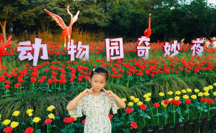 水彩画_武夷山九曲漂流_陆予姝_国际青少年美术家_少美联赛