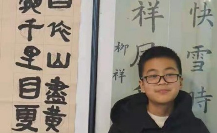 书法_中国少年说_周英杰_国际青少年美术家_少美联赛