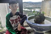 插画_蒙德里安的灵感空间_王乐行_国际青少年美术家_少美联赛