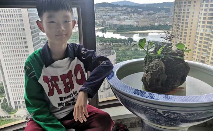 插画_蒙德里安的灵感空间_王乐行_国际青少年美术家_少美联赛