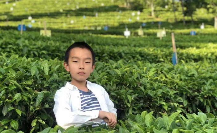 丙烯画_仙人掌之花_王广宸_国际青少年美术家_少美联赛