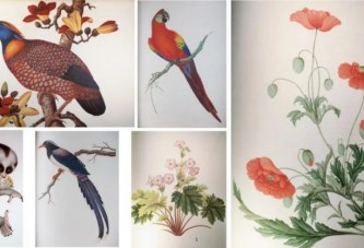 北京保利拍卖_将色彩揉进这个春天里_西方博物馆动植物版画集