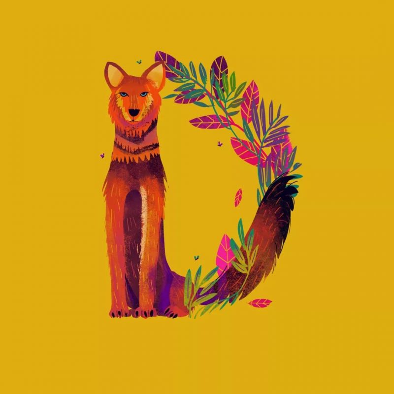 二十六种濒危动物字体设计 _插画师_Sandhya Prabhat