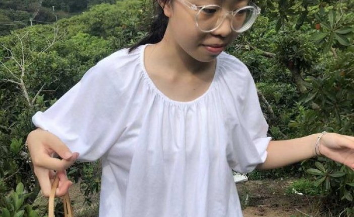 丙烯画_湖边的淋_温鑫缘_国际青少年美术家_少美联赛
