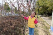 漫画《民族》王梓苏_国际青少年美术家_少美联赛