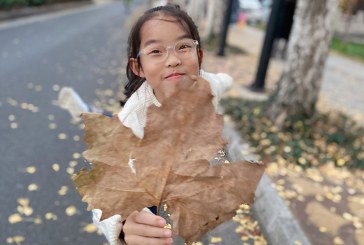 漫画《助农》丁苏墨_国际青少年美术家_少美联赛