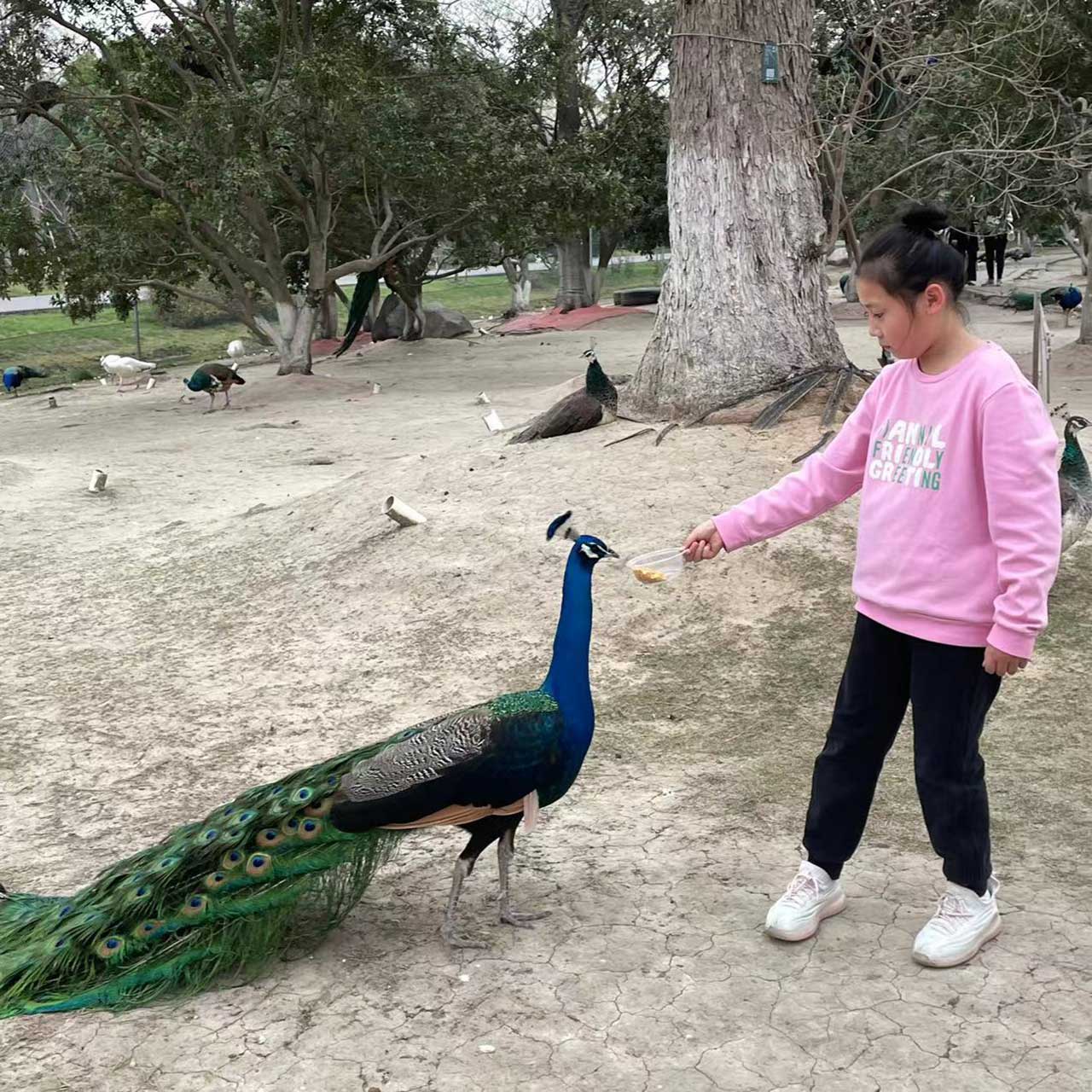 小画家_刘芷汐_少美联赛