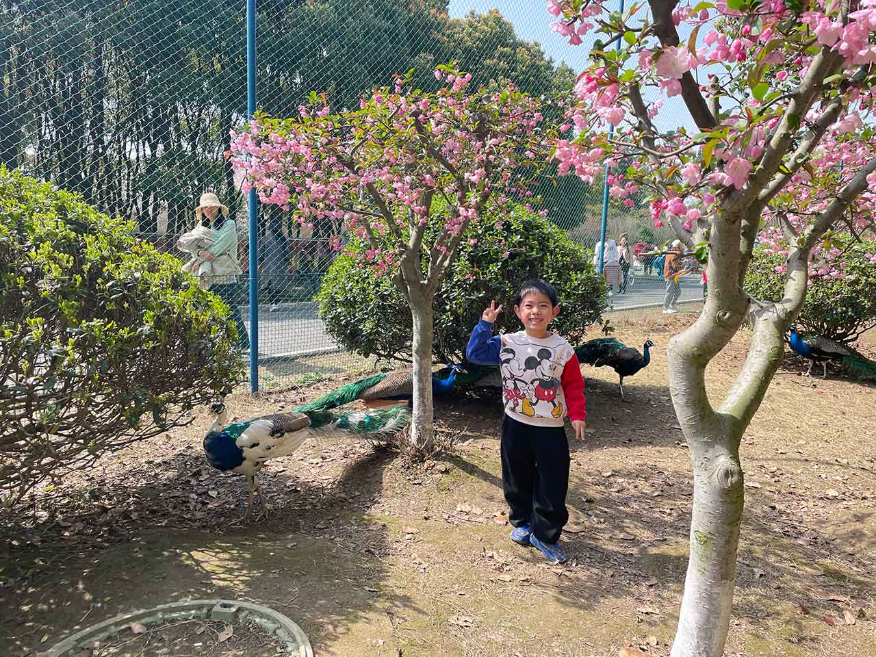 小画家_嵇皓哲_少美联赛