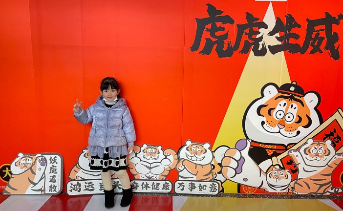 漫画《琵琶遥想》朱雨昕_国际青少年美术家_少美联赛