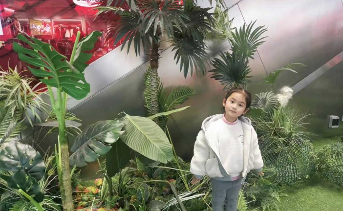 装饰画《云肩》陈熙悦_国际青少年美术家_少美联赛