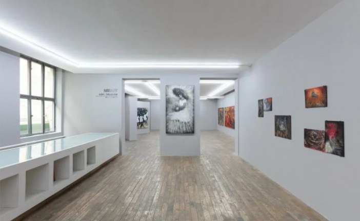 赵银鸥_与画面对抗展览