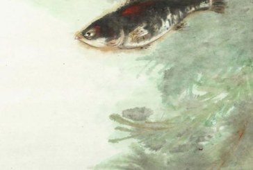 华艺在线_淘珍书画五大专场上线_画家笔下_春天触手可及