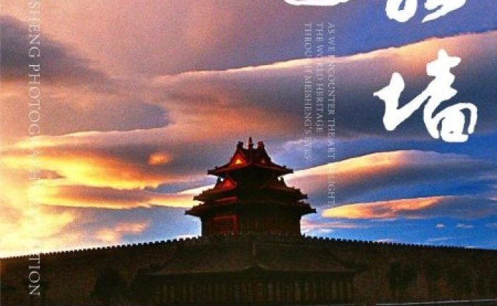 2022/11 本周值得一看的展览