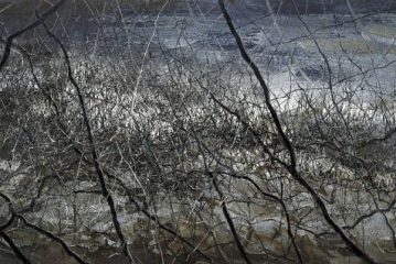 北京保利拍卖_现当代艺术部2022春拍