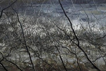 北京保利拍卖_现当代艺术部2022春拍