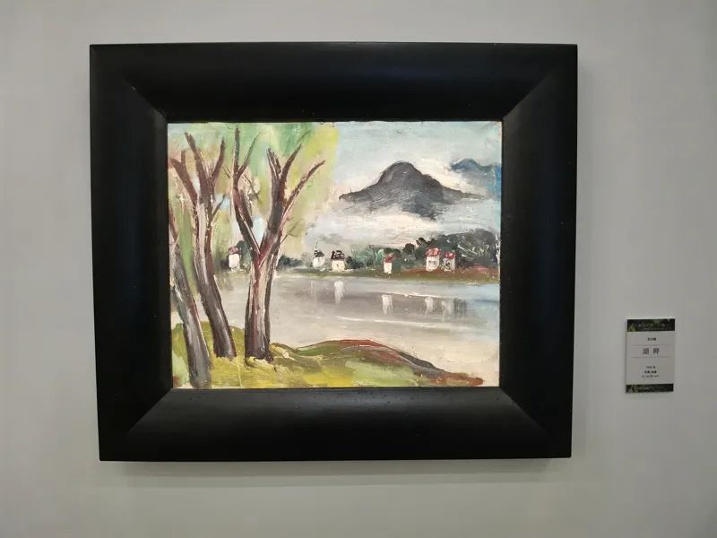 苏天赐百年诞辰_自有春晖满怀 苏天赐百年诞辰_自有春晖满怀