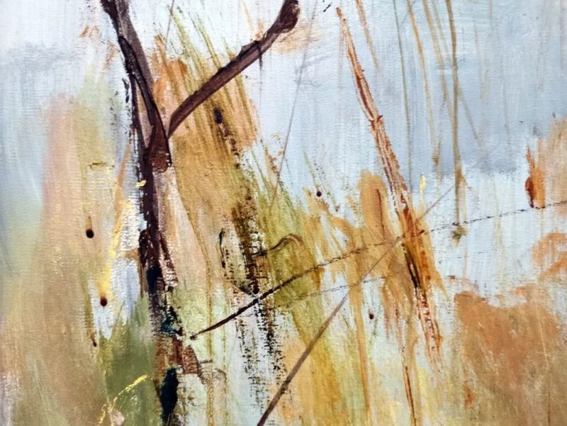 苏天赐百年诞辰_自有春晖满怀 苏天赐百年诞辰_自有春晖满怀