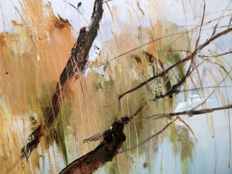 苏天赐百年诞辰_自有春晖满怀 苏天赐百年诞辰_自有春晖满怀